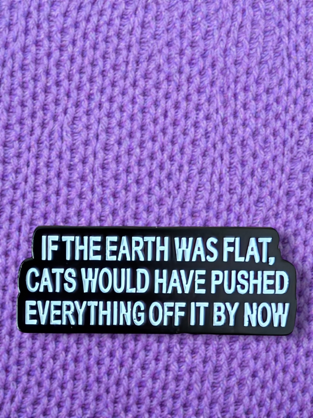 So True 😁 Cat Quote Pin